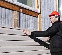 Best Fiber Cement Siding Installation  in Newport, MN